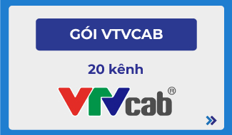 BẢNG GIÁ CƯỚC COMBO TRUYỀN HÌNH VÀ INTERNET VTVCAB